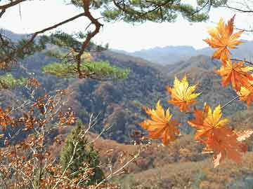 美国法院批准达利纳尔以73.8亿美元巨资收购雪铁戈母公司，一场商业巨擘的跨界联姻