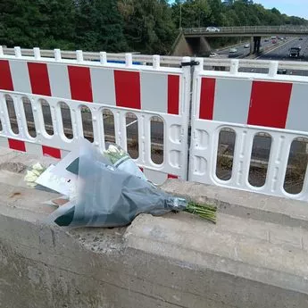一辆汽车从桥上掉到繁忙的M3高速公路上,NHS医生遇难