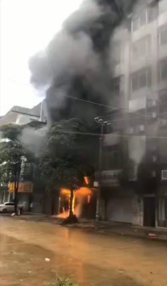 最新 第206页