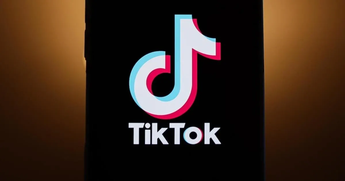 TikTok可能被关闭及其对国家安全和公民权利的影响